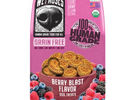 Wet Noses Dog Grain Free Berry Blast 14oz. Supply