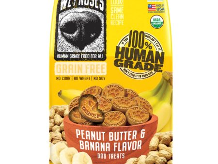 Wet Noses Dog Grain Free Peanut Butter Banana 14oz. For Discount