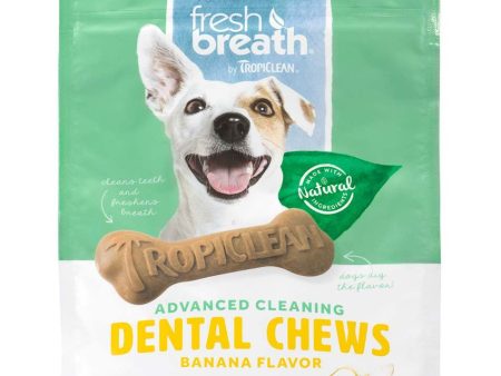 TropiClean Fresh Breath Advanced Cleaning Dental Chews for Dogs Banana 1ea 11 oz, 20 ct, SMall For Sale