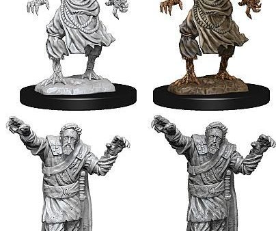 Scarecrow & Stone Cursed Dungeons & Dragons Nolzur`s Marvelous Unpainted Miniatures Supply