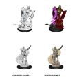 D&D Nolzur s Minis: Wave 11 - Lich & Mummy Lord Online