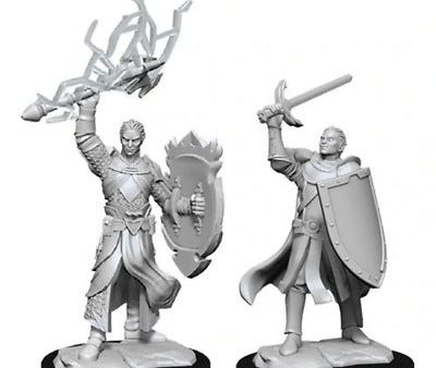 Half-Elf Paladin Dungeons & Dragons Nolzur`s Marvelous Unpainted Miniatures Online now