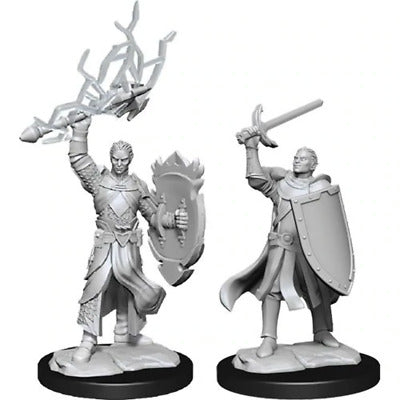 Half-Elf Paladin Dungeons & Dragons Nolzur`s Marvelous Unpainted Miniatures Online now