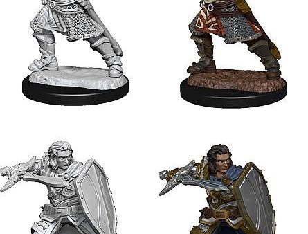 Human Paladin Dungeons & Dragons Nolzur`s Marvelous Unpainted Miniatures For Discount