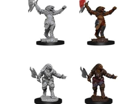 D&D Nolzur s Minis: Wave 11 - Female Dragonborn Fighter For Cheap