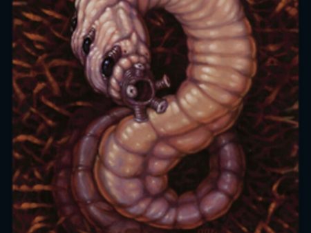 Worm    Vampire Double-Sided Token [Double Masters 2022 Tokens] For Cheap