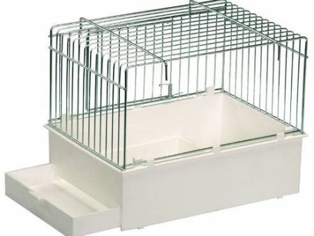 BIRD CAGE on Sale