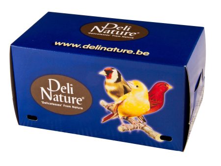 BIRD TRANSPORTATION BOX SMALL Hot on Sale