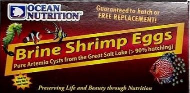 GSL BRINE SHRIMP EGGS 20G Online Sale