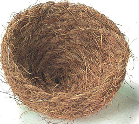 BIRD COCONUT NEST For Sale