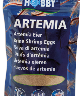 ARTEMIA BRINE SHRIMP EGGS For Cheap