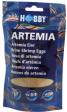 ARTEMIA BRINE SHRIMP EGGS For Cheap