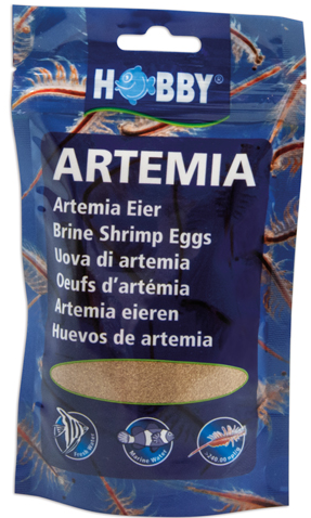 ARTEMIA BRINE SHRIMP EGGS For Cheap