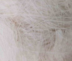 WHITE BIRD FIBER FOR NEST 1kg Online Sale